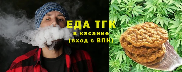 амф Верхний Тагил