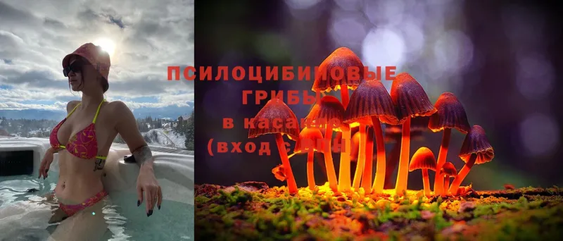 Псилоцибиновые грибы ЛСД  Кодинск 